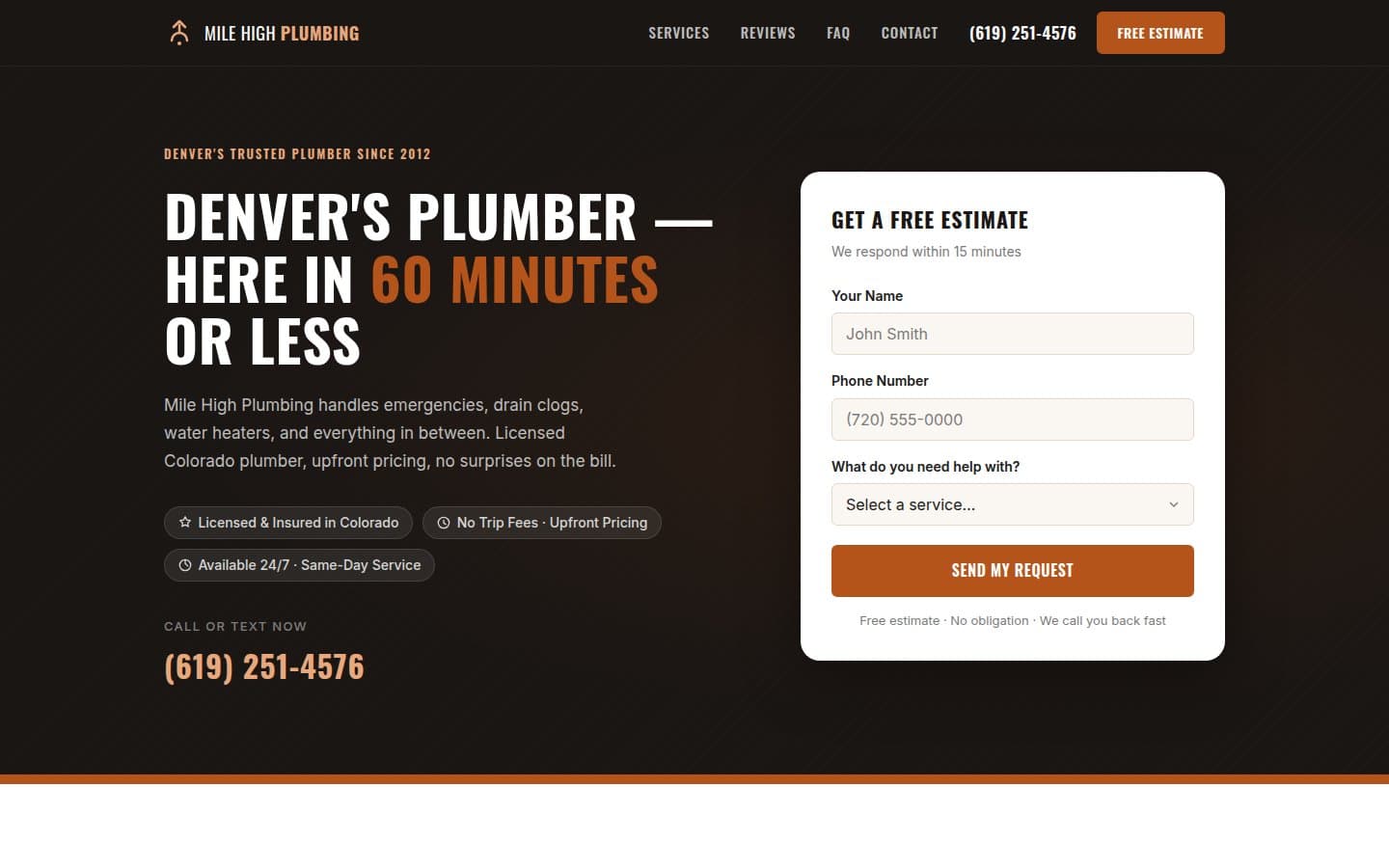 Mile High Plumbing — live site preview